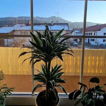 Ferienwohnung Bergliebe Nesselwang Exterior photo